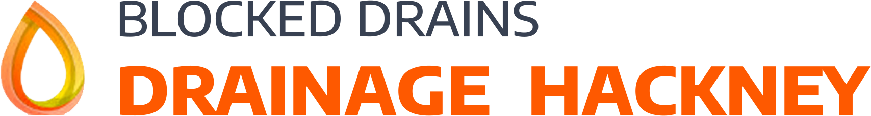 website logo